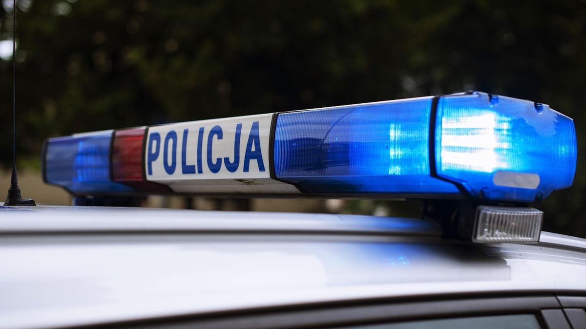 Dachowanie na S8 w Warszawie. Dwoje dzieci trafiło do szpitala