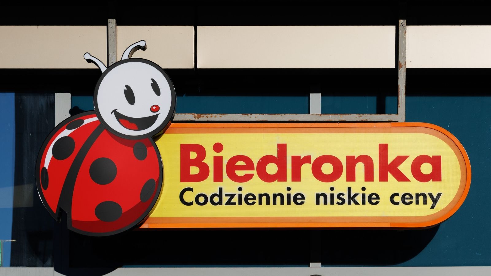 Biedronka od 2 sierpnia: odzież i obuwie od 9,99 zł, sprzęt AGD w promocji do 15 sierpnia